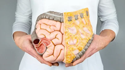 لیست بهترین ویتامین‌ها برای تقویت دستگاه گوارش