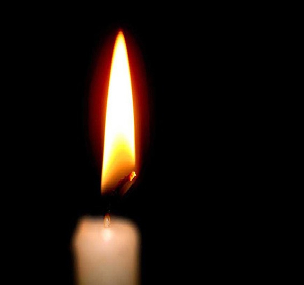 فوری/ هنرمند مطرح سینمای ایران درگذشت