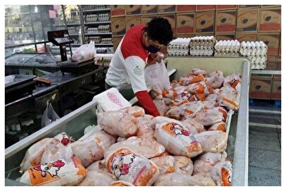 پیش‌بینی عجیب معاون وزیر درمورد قیمت مرغ و گوشت