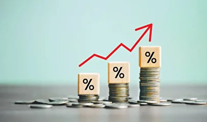 تورم دی ماه به ۶۰ درصد رسید+ عکس