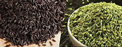 راز خوشمزگی غذای ایرانی با این روش ساده/ زیره را کی و کجا استفاده کنیم تا عطر غذا را چند برابر کند؟