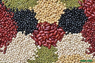 جزئیات نرخ حبوبات / مصرف‌کننده منتظر قیمت جدید باشد