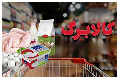 همه ایرانی‌ها مشمول طرح کالابرگ می‌شوند/ تاریخ ثبت نام اعلام شد