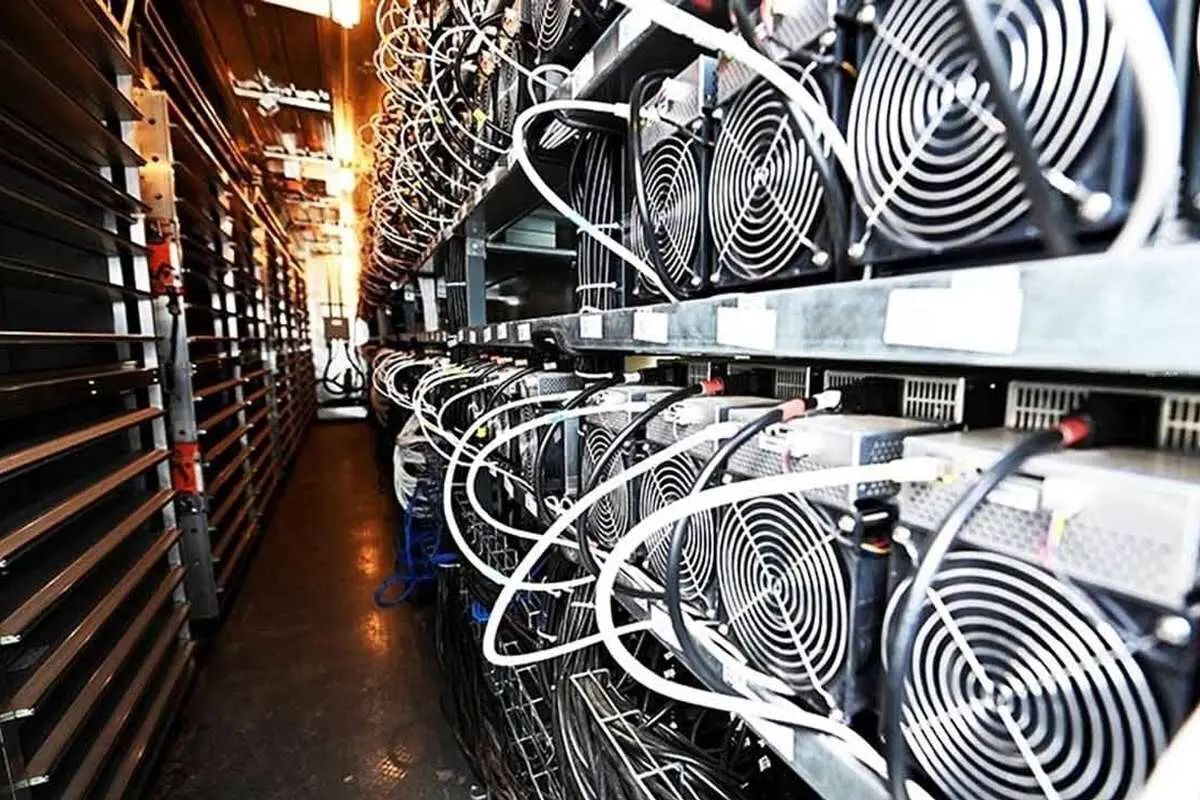 قاتل برق کشور شناسایی شد قاتل برق کشور شناسایی شد