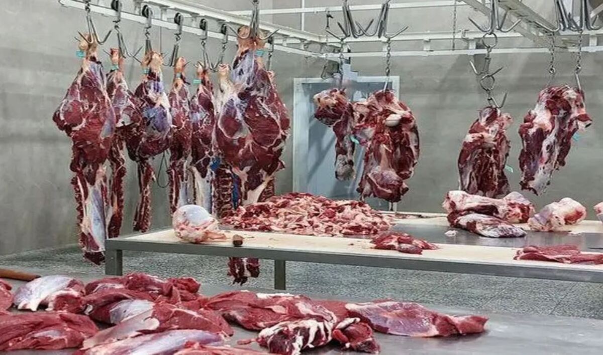 قیمت گوشت قرمز رسما اعلام شد/ قیمت گوشت‌های وارداتی در بازار امروز چند؟