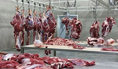 قیمت گوشت قرمز رسما اعلام شد/ قیمت گوشت‌های وارداتی در بازار امروز چند؟