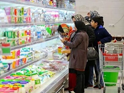 حمایت معیشتی خانوار / مبلغ یک میلیون تومان کافی نیست