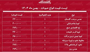 لیست قیمت جدید انواع حبوبات ۸ بهمن ۱۴۰۴ /نخود، عدس، لوبیا چیتی و....کیلویی چند شد؟ + جدول