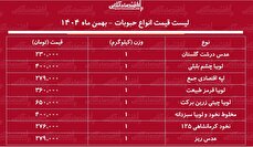 لیست قیمت جدید انواع حبوبات ۸ بهمن ۱۴۰۴ /نخود، عدس، لوبیا چیتی و....کیلویی چند شد؟ + جدول
