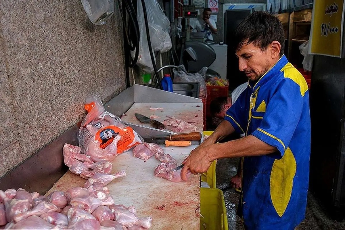 کاهش قیمت مرغ در بازار / هر کیلو مرغ گرم ۲۱۰ هزار تومان شد