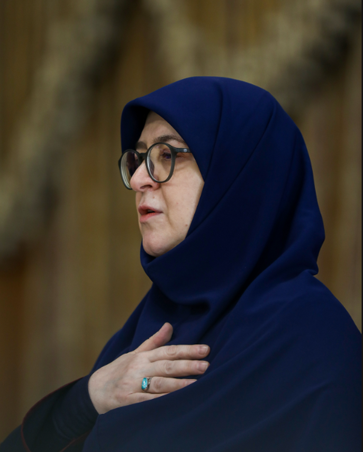 مهاجرانی بر مزار شهدای دانش‌آموز میناب حاضر شد+ عکس