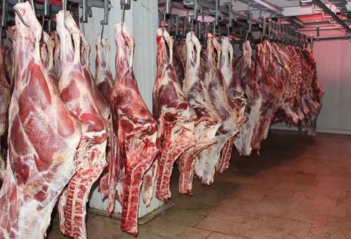 تامین پایدار گوشت، مرغ، لبنیات و تخم مرغ