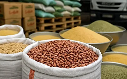 بازار حبوبات در مسیر گرانی/ قیمت لوبیا چیتی به کیلویی چند تومان رسید؟