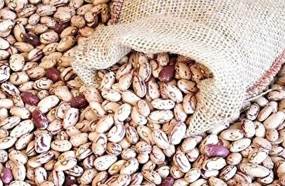 چرا قیمت لوبیاچیتی سر به فلک کشید؟