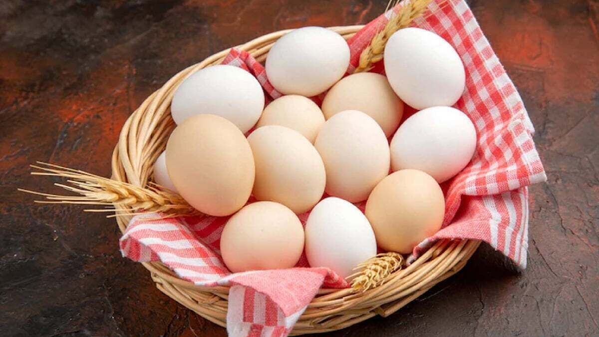 قیمت جدید تخم مرغ اعلام شد قیمت جدید تخم مرغ اعلام شد
