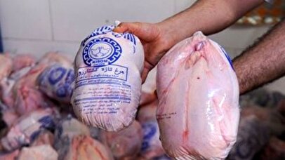 قیمت مرغ منجمد تعیین شد