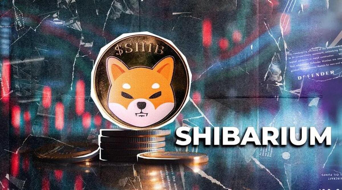 تعداد تراکنشهای شیباریوم اوج گرفت!/ قیمت SHIB هم به دنبال آن صعود میکند؟ تعداد تراکنشهای شیباریوم اوج گرفت!/ قیمت SHIB هم به دنبال آن صعود میکند؟