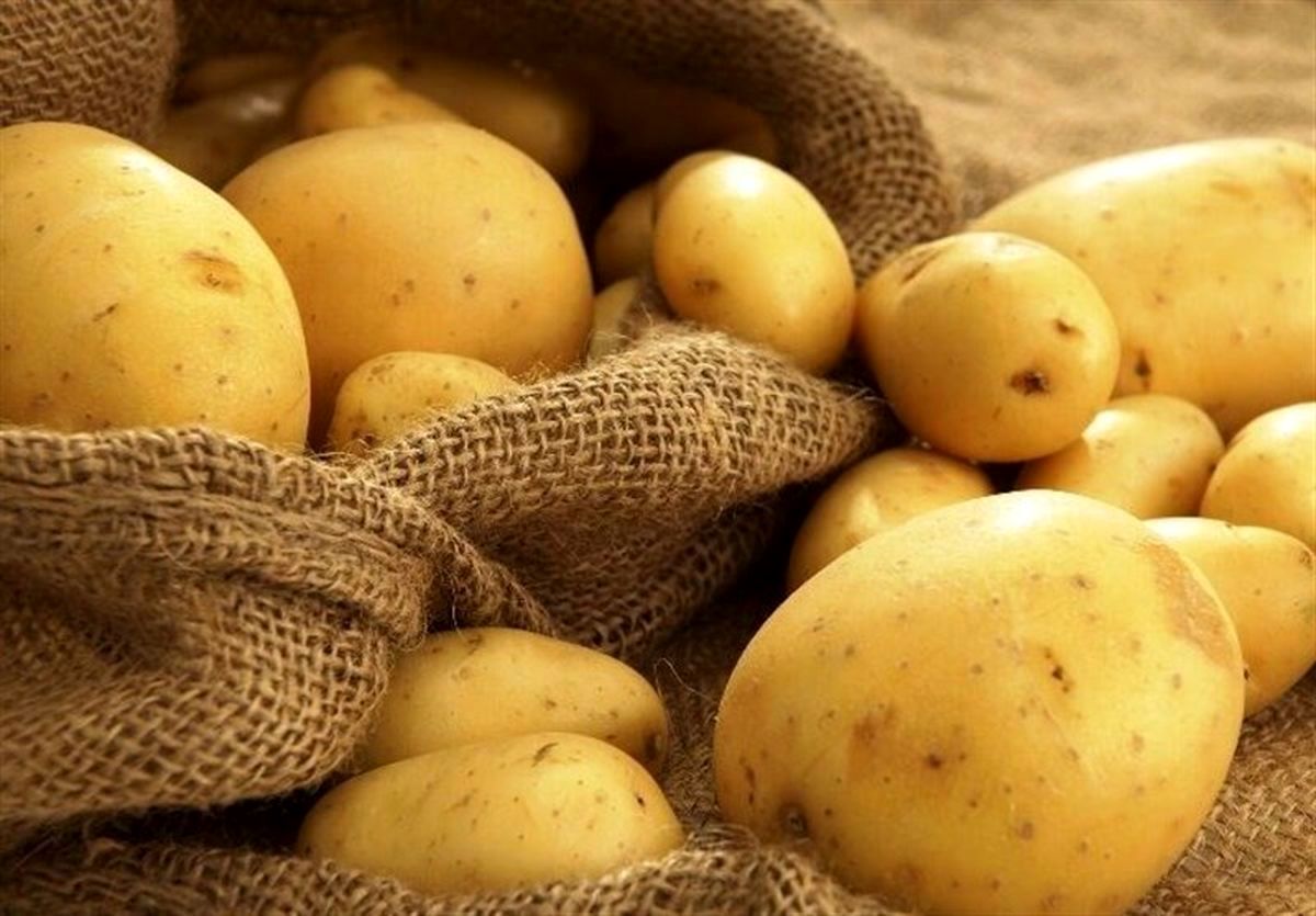 خبر گمرک از رفع ممنوعیت صادرات سیب زمینی خبر گمرک از رفع ممنوعیت صادرات سیب زمینی