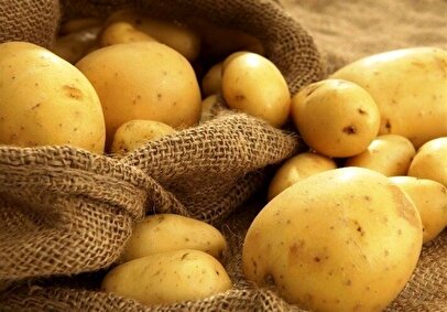 خبر گمرک از رفع ممنوعیت صادرات سیب زمینی