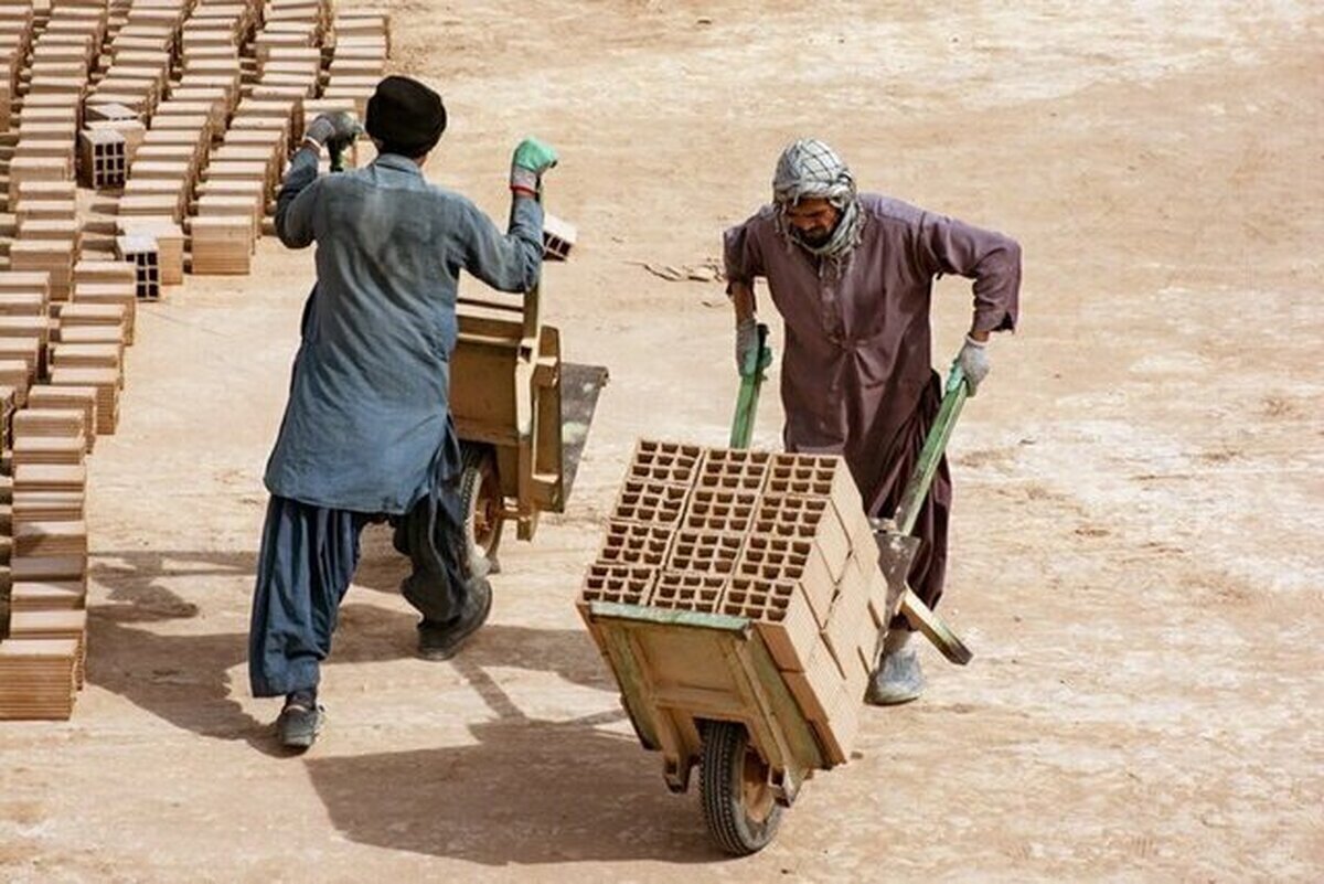 معاون وزیر کار: حذف نیروی کار خارجی غیرواقع بینانه است معاون وزیر کار: حذف نیروی کار خارجی غیرواقع بینانه است
