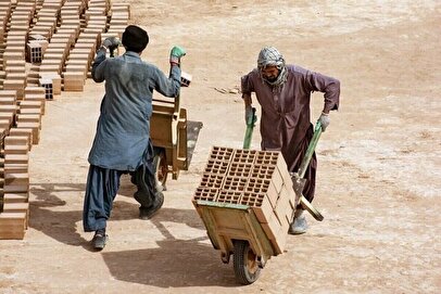 معاون وزیر کار: حذف نیروی کار خارجی غیرواقع بینانه است