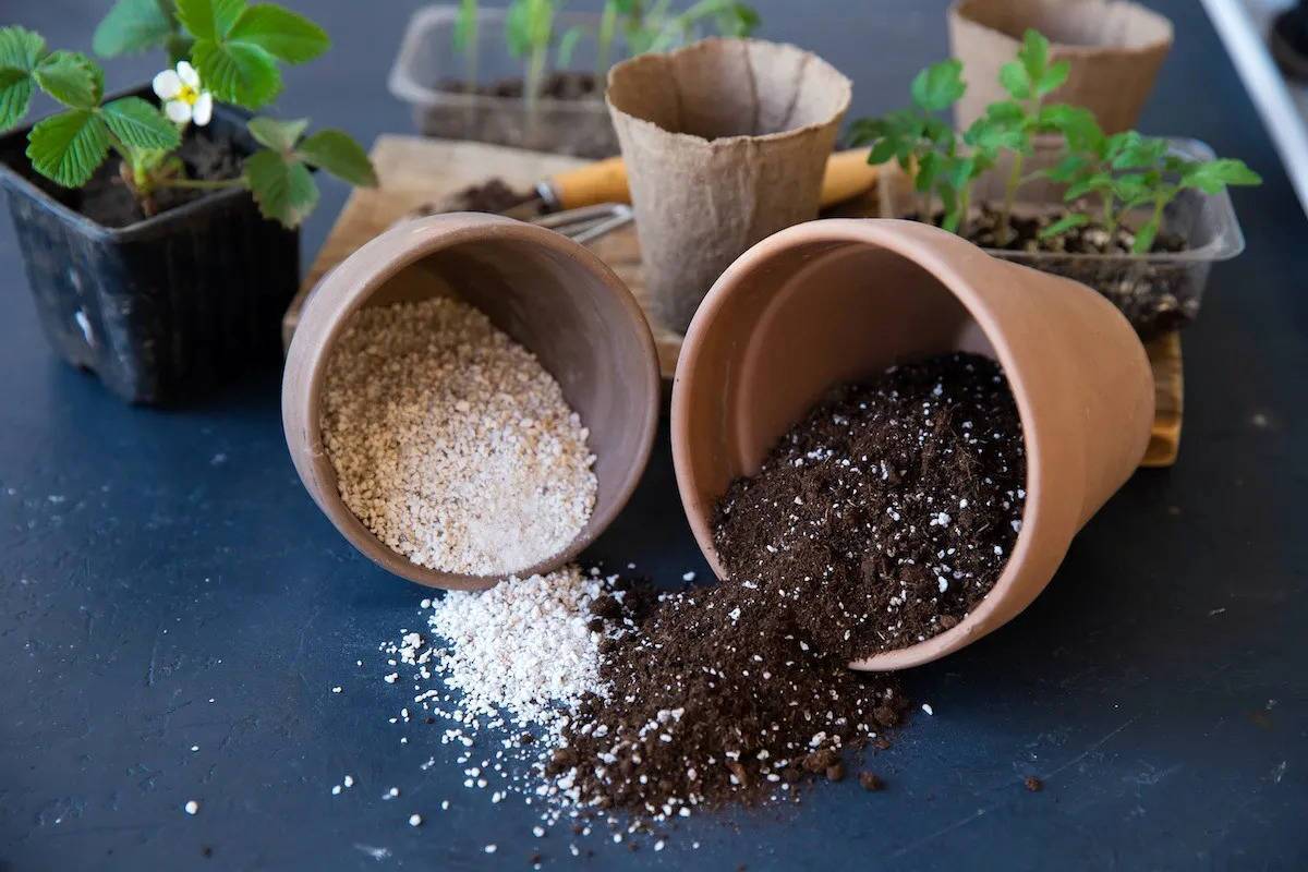 بهترین ترکیب خاک برای گیاهان آپارتمانی چیست؟ بهترین ترکیب خاک برای گیاهان آپارتمانی چیست؟