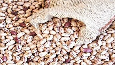 اصلاح قیمت لوبیا چیتی /این کالا را گران‌تر از این رقم نخرید