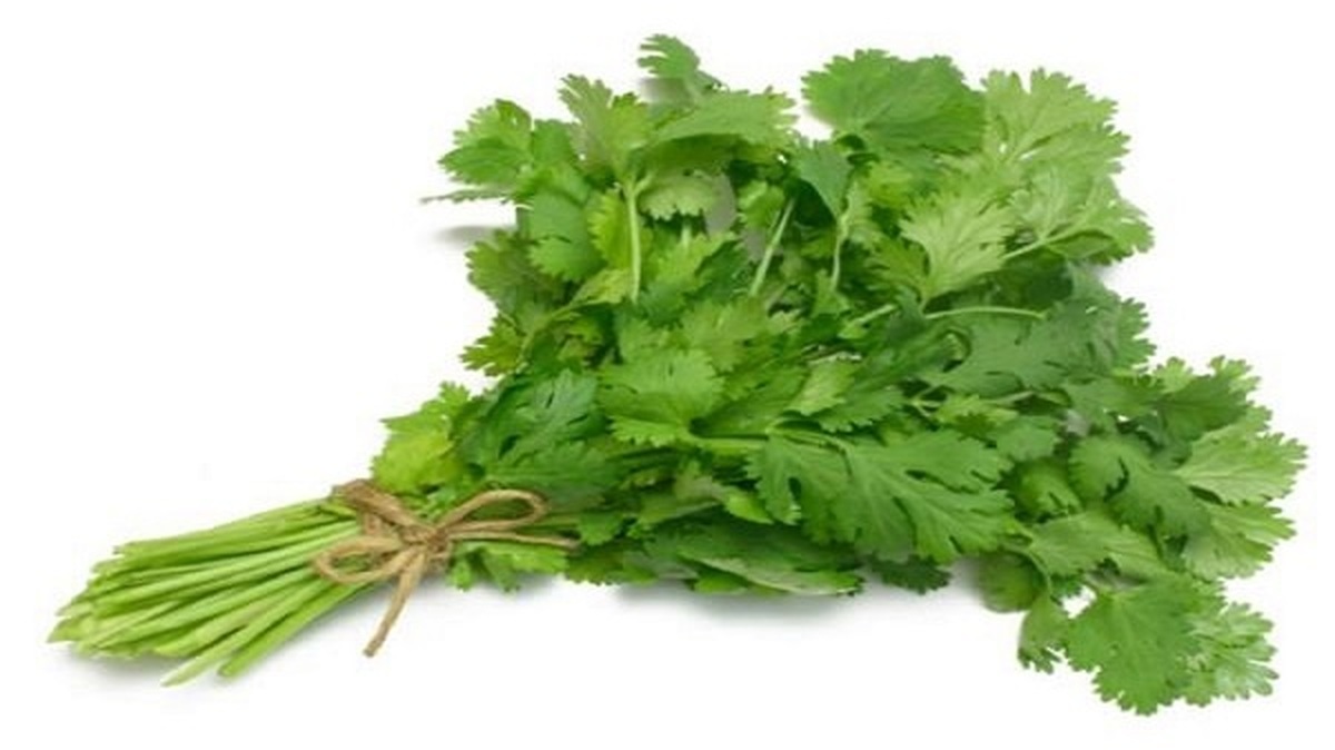آب این سبزی ضد ریزش مو، ضد شوره سر، تقویت کننده رشد مو و باعث درخشندگی مو میشود آب این سبزی ضد ریزش مو، ضد شوره سر، تقویت کننده رشد مو و باعث درخشندگی مو میشود