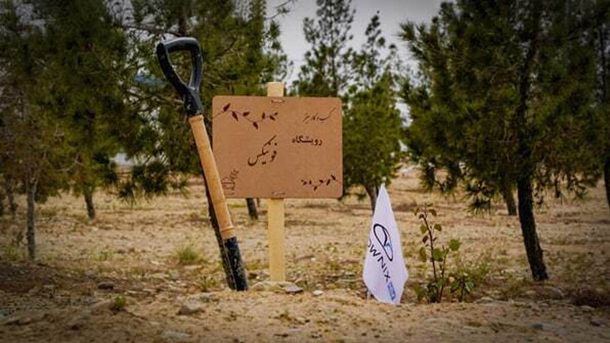 رویشگاه فونیکس با مشارکت مردم احداث شد رویشگاه فونیکس با مشارکت مردم احداث شد
