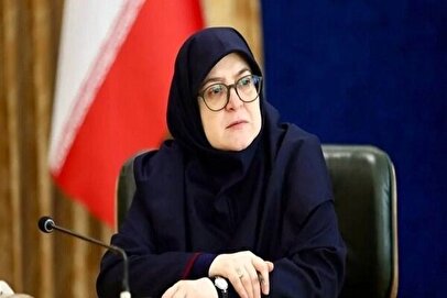 مهاجرانی: قیمت خرید تضمینی گندم تصویب شد + فیلم
