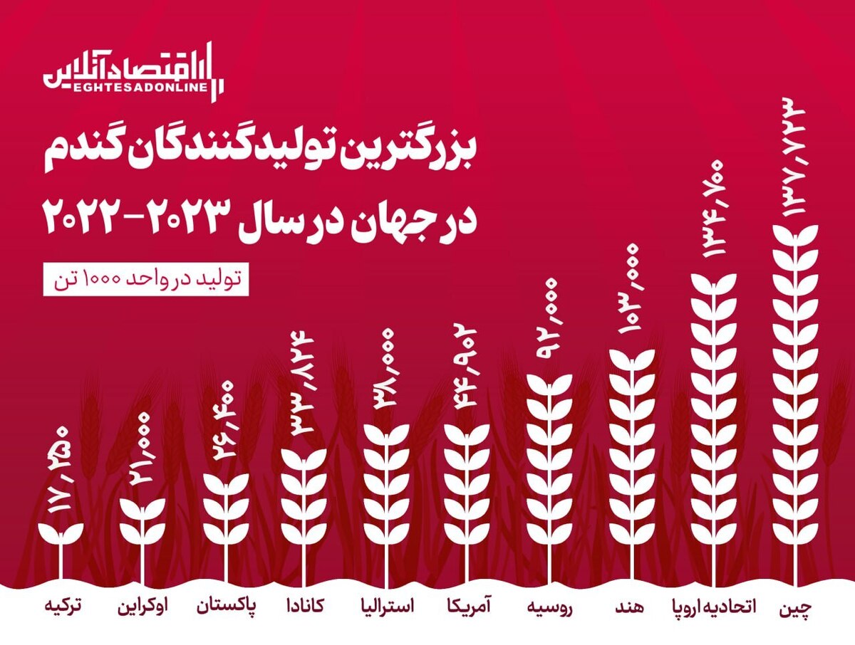 اینفوگرافی بزرگترین تولیدکنندگان گندم در دنیا/ چین و اروپا در صدر تولید گندم جهان