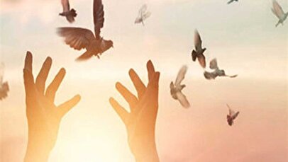آزادی ۲۰۰ زندانی جرایم غیرعمد توسط بخش خصوصی