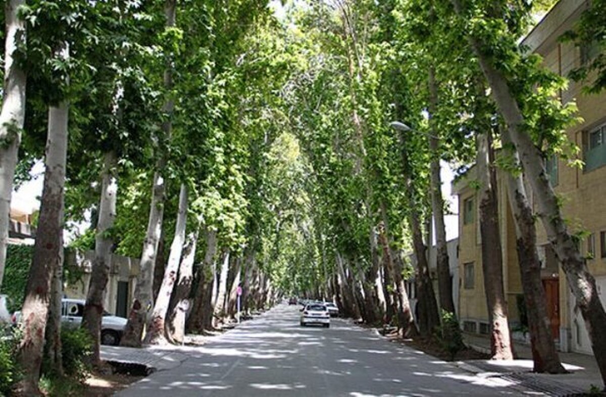 درختان و باغهای نصف‌جهان حقابه‌داران کهن زاینده‌رود هستند/ ضرورت تخصیص ۵۰ میلیون مترمکعبی آب