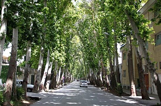 درختان و باغهای نصفجهان حقابهداران کهن زایندهرود هستند/ ضرورت تخصیص ۵۰ میلیون مترمکعبی آب