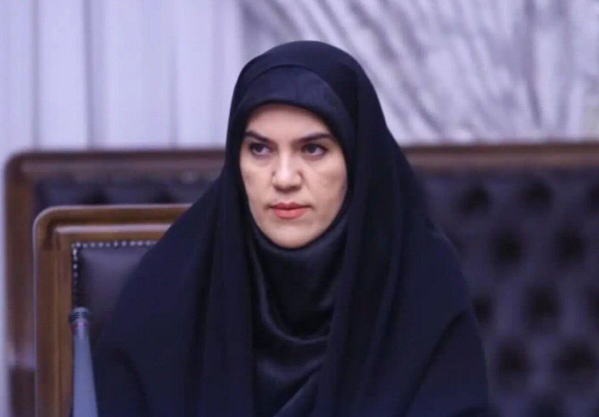 مریم عبداللهی : مدنیزاده از نظر علمی واجد شرایط و اندیشمند است مریم عبداللهی : مدنیزاده از نظر علمی واجد شرایط و اندیشمند است