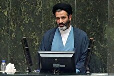 تاکید کمیسیون صنایع مجلس بر آزادسازی پهنه‌های معدنی ایمیدرو