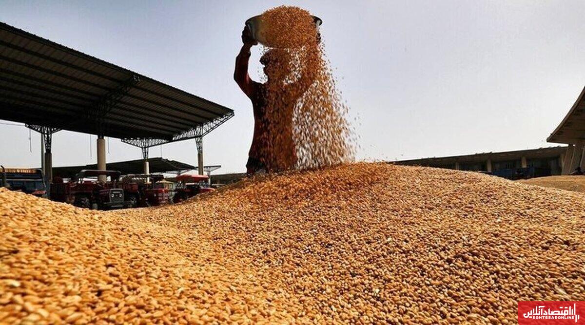 ۴۵ مرکز برای خرید تضمینی گندم در اصفهان فعال است/ واردات ۷۰ هزار تن گندم به استان ۴۵ مرکز برای خرید تضمینی گندم در اصفهان فعال است/ واردات ۷۰ هزار تن گندم به استان