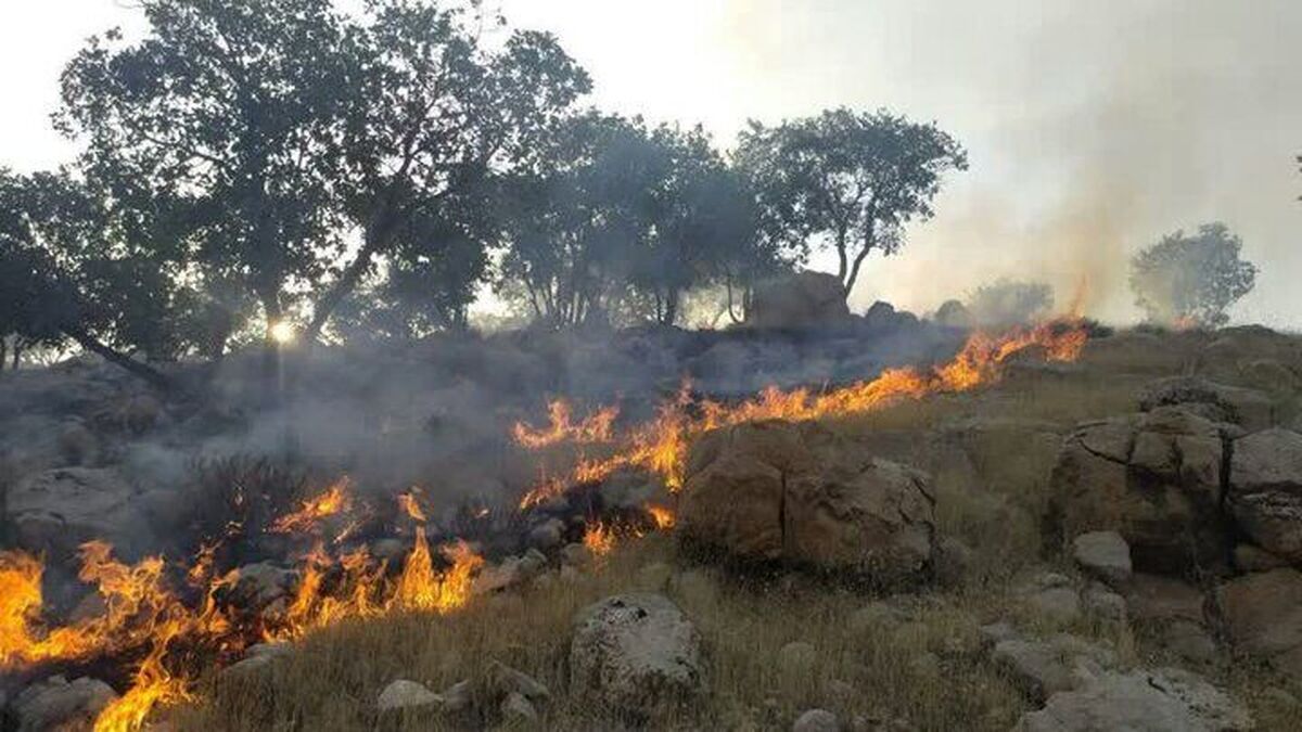 آتش سوزی شدید در کوه‌های سمغان