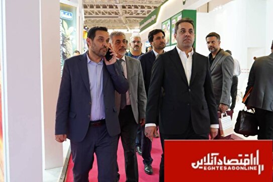 «حضور پررنگ البرز در ایران اکسپو ۲۰۲۵»؛ گامی در مسیر توسعه صادرات غیرنفتی
