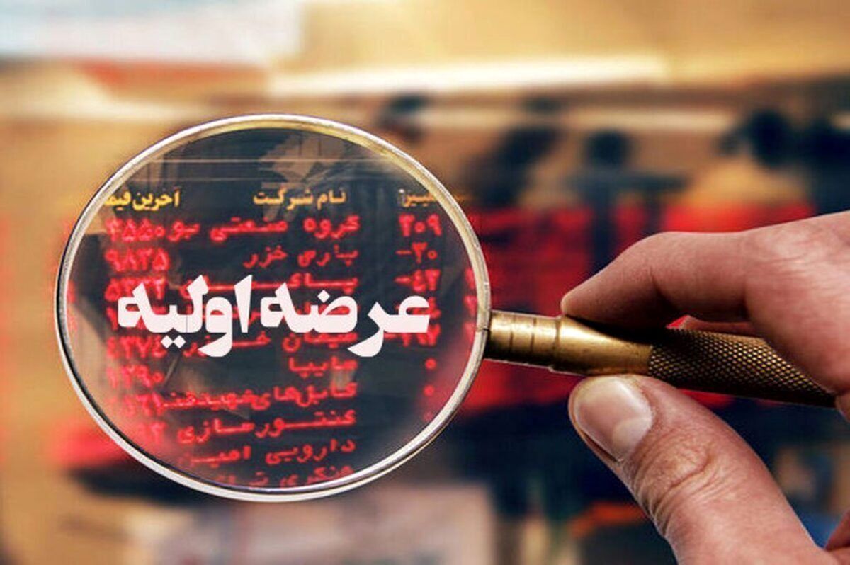 عرضه اولیه جدید در راه بازار سهام / جزئیات و میزان نقدینگی مورد نیاز رپویا عرضه اولیه جدید در راه بازار سهام / جزئیات و میزان نقدینگی مورد نیاز رپویا