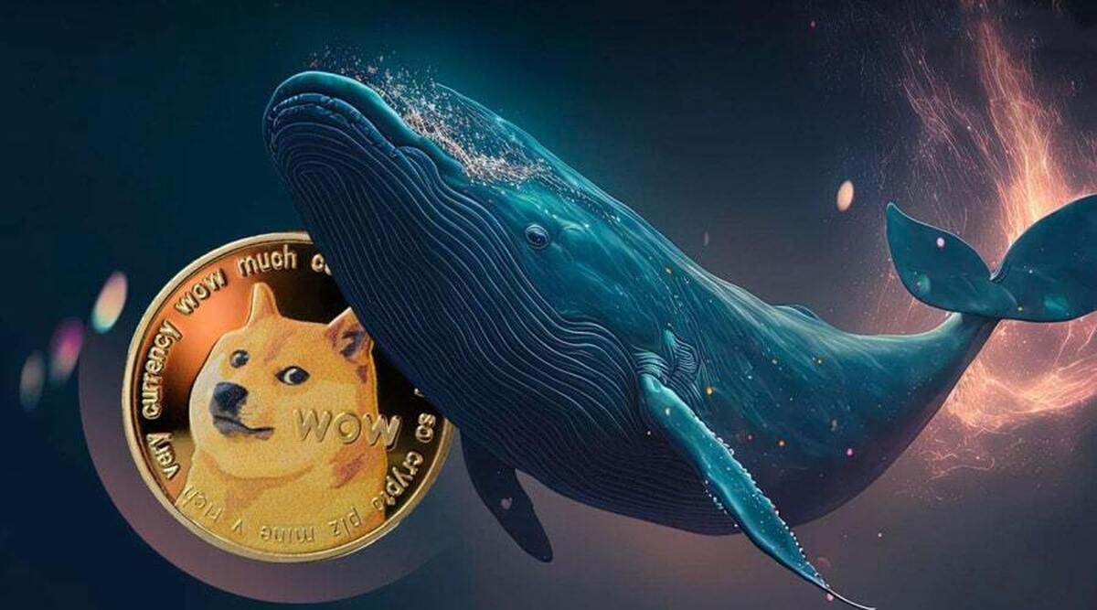 نهنگها دوج کوین را میبلعند؟/ ارسال ۶۰ میلیون دلار DOGE به کوینبیس!+ نمودار نهنگها دوج کوین را میبلعند؟/ ارسال ۶۰ میلیون دلار DOGE به کوینبیس!+ نمودار