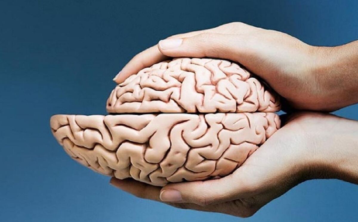 این عادتها مغز را کوچک میکند این عادتها مغز را کوچک میکند