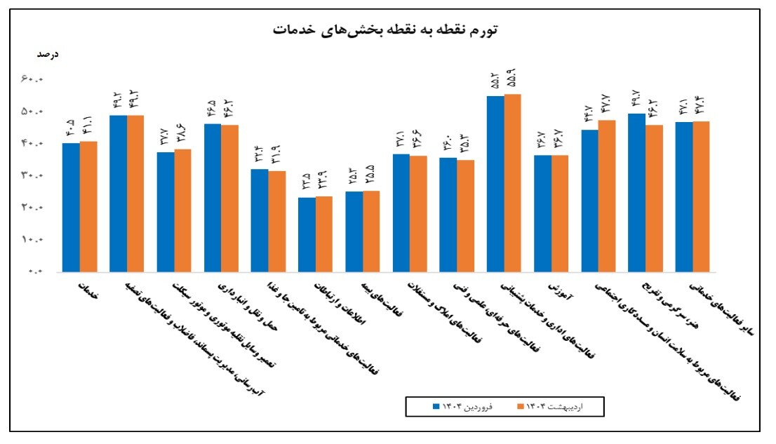 رشد ۴۱ درصدی شاخص خدمات؛ سلامت و پشتیبانی در صدر شتاب قیمت‌ها