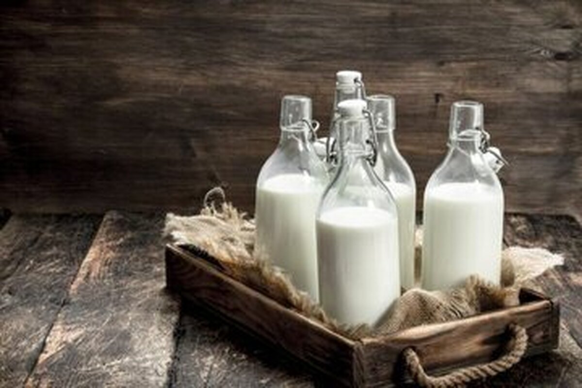 قبل از خواب، شیر گرم بخوریم بهتر است یا سرد؟ قبل از خواب، شیر گرم بخوریم بهتر است یا سرد؟