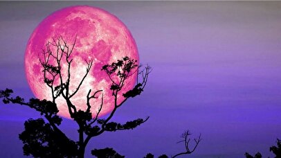 تاریخ دقیق رویت ماه توت‌ فرنگی خرداد ۱۴۰۴ / ۲ شب ماه صورتی می‌شود