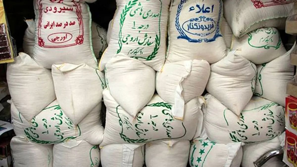 قیمت برنج ایرانی افسار پاره کرد + جدول