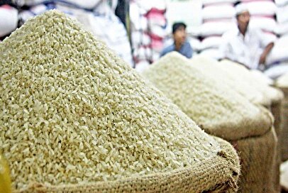 رشد نجومی قیمت برنج ایرانی/ در بازار برنج چه خبر است؟