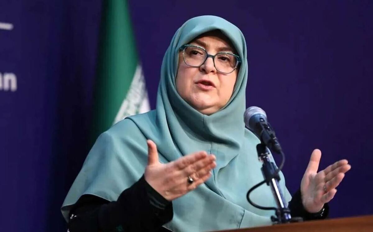 سخنگوی دولت: ایران سکوت نخواهد کرد سخنگوی دولت: ایران سکوت نخواهد کرد