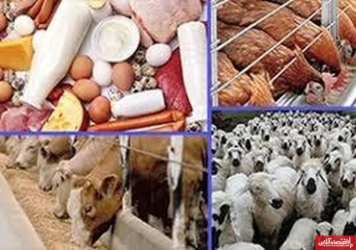 ۱۴ درصد محصولات دامی کشور در اصفهان تولید میشود ۱۴ درصد محصولات دامی کشور در اصفهان تولید میشود