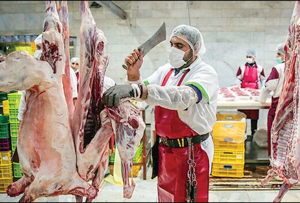 افزایش عرضه گوشت تنظیم بازار در فروشگاههای زنجیره افزایش عرضه گوشت تنظیم بازار در فروشگاههای زنجیره